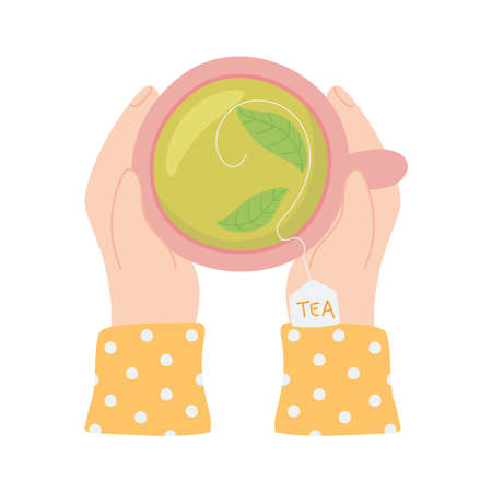 tea, top view hands with teacup and herbal leaf beverage vector illustrationのイラスト素材