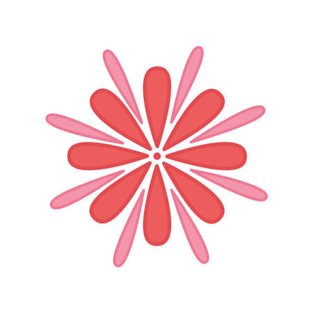 flower petals element decoration vector illustration color designのイラスト素材