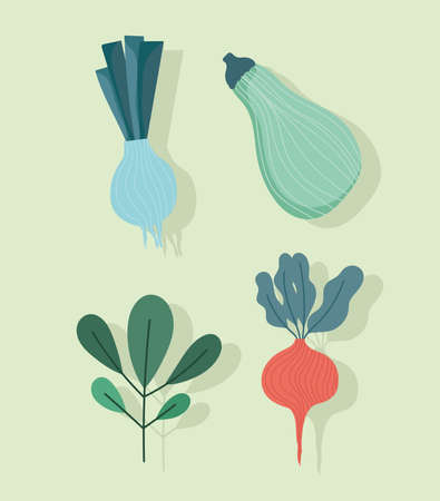 food pumpkin green onion radish and nature leaves icons vector illustrationのイラスト素材