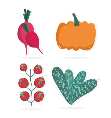 food pumpkin tomatoes radish and lettuce nature icons vector illustrationのイラスト素材