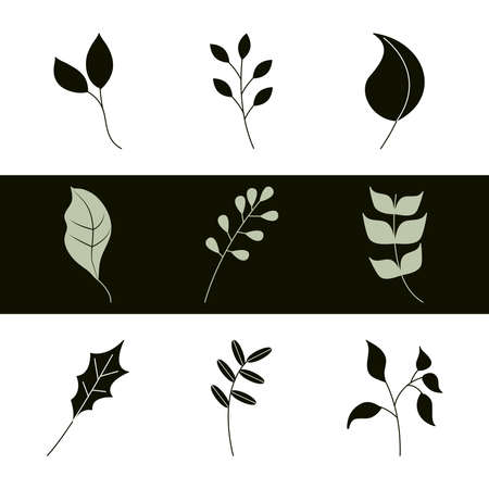 leaves line icons set style, branches foliage nature decoration vector illustrationのイラスト素材
