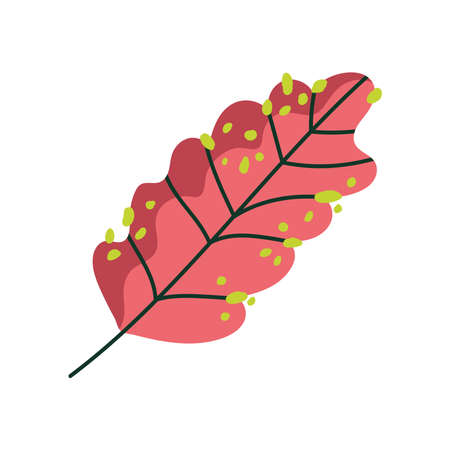 leaf nature foliage floral decoration icon on white background vector illustrationのイラスト素材