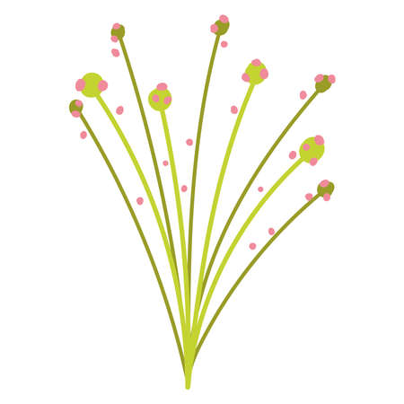 green branch leaves foliage decoration icon on white background vector illustrationのイラスト素材