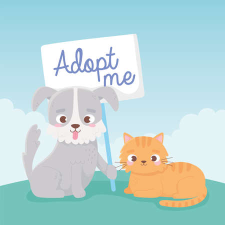 adopt a pet, little dog and cat with adpot me lettering vector illustration