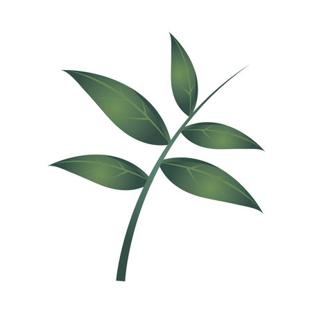 branch foliage plant ecology nature icon isolated vector illustrationのイラスト素材