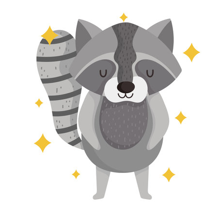 cute raccoon animal with stars in cartoon design vector illustrationのイラスト素材