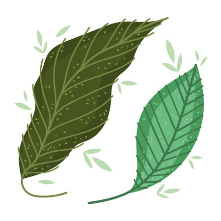 leaves nature foliage exotic cartoon design vector illustrationのイラスト素材