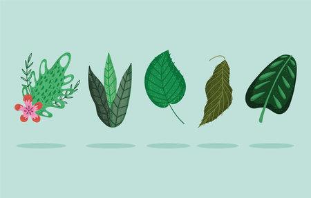 leaves nature foliage flower floral cartoon icons vector illustrationのイラスト素材