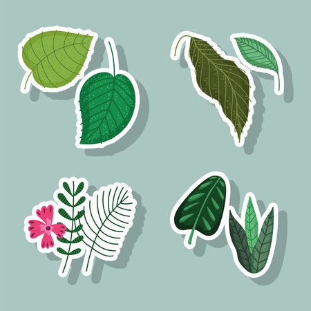 leaves flower branch nature foliage floral cartoon icons stickers vector illustrationのイラスト素材