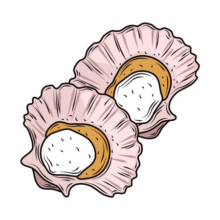 seafood oysters menu gourmet fresh icon isolated image vector illustrationのイラスト素材