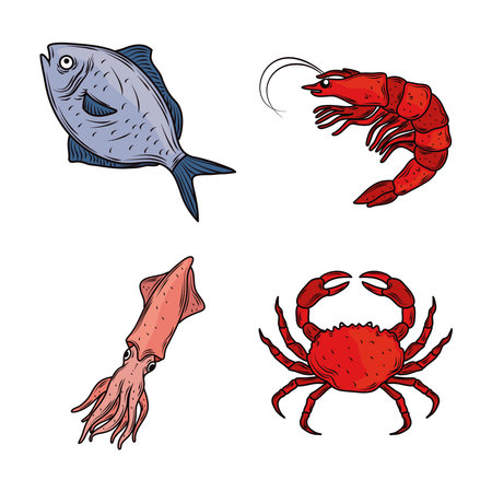 seafood fish crab squid shrimp menu gourmet fresh icon isolated image vector illustrationのイラスト素材