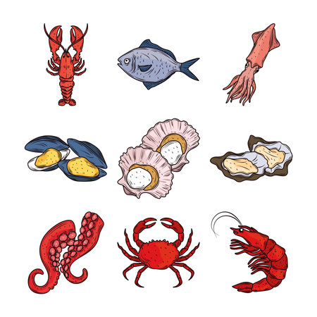 seafood lobster squid fish crab octopus oysters menu gourmet fresh icon isolated image vector illustrationのイラスト素材