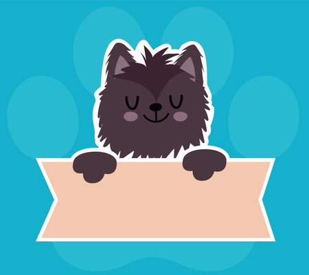 cute cat feline animal with banner, pet cartoon on blue background vector illustrationのイラスト素材