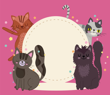 Pets cat animals cartoon feline with label template vector illustrationのイラスト素材