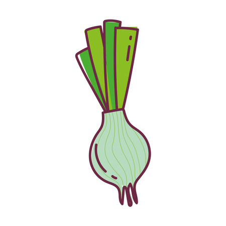 fresh onion vegetable food, line and fill icon vector illustrationのイラスト素材
