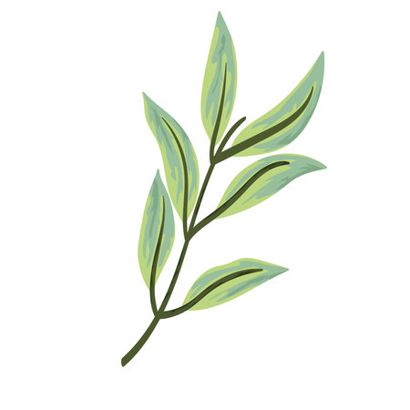 branch foliage nature decoration painting isolated design vector illustrationのイラスト素材