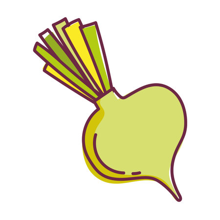 fresh beet vegetable food, line and fill icon vector illustrationのイラスト素材
