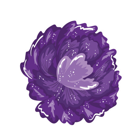 purple flower floral decoration painting isolated design vector illustrationのイラスト素材