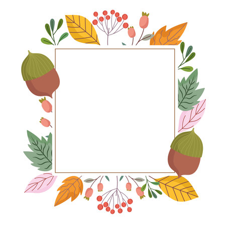 leaves foliage nature acorn branch nature decoration frame vector illustration designのイラスト素材