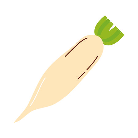 horseradish vegetable design, food organic and healthy theme Vector illustrationのイラスト素材