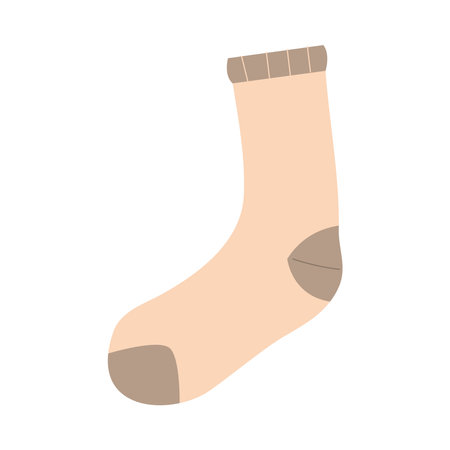 long sock design, Cloth fashion style wear and store theme Vector illustrationのイラスト素材