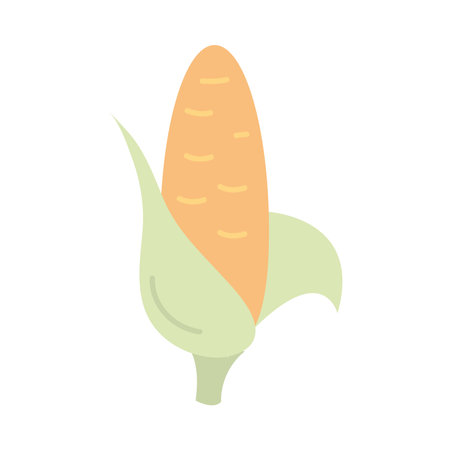 Corn design, Food vegetable agriculture green and plant theme Vector illustrationのイラスト素材