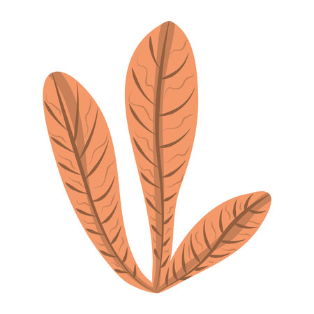tropical leaf foliage plant icon flat design vector illustrationのイラスト素材