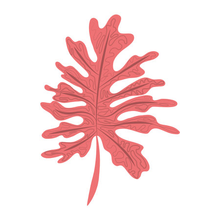 tropical leaf exotic foliage abstract style icon vector illustrationのイラスト素材