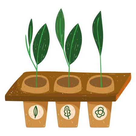 gardening plants growing in pots hand drawn color vector illustrationのイラスト素材