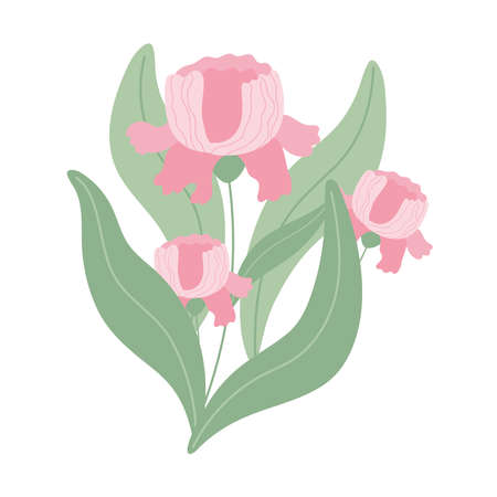 flowers nature foliage decoration white background vector illustrationのイラスト素材