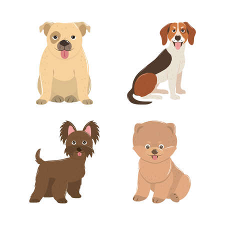 pets dogs puppy little animals domestic canine vector illustrationのイラスト素材