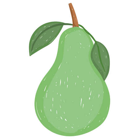 healthy food fresh pear fruit flat icon style vector illustrationのイラスト素材