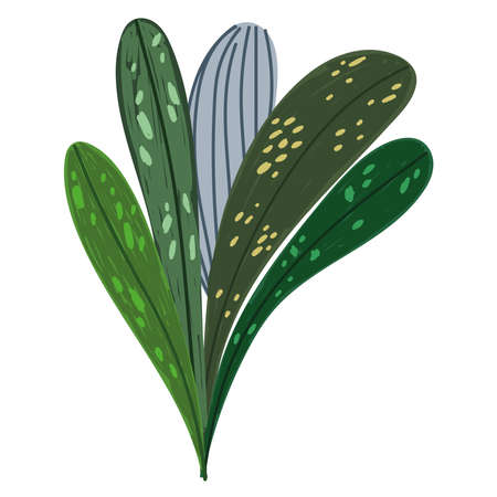 foliage nature greenery and vegetation cartoon vector illustrationのイラスト素材