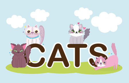 cats lettring, cute animals pet cartoon in the grass vector illustrationのイラスト素材