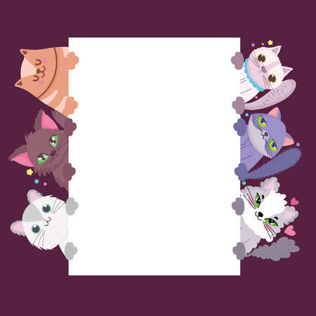 cats adorable cute animals domestic feline with banner vector illustrationのイラスト素材