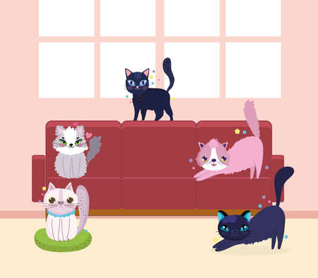 funny cats pet animals domestic in the sofa vector illustrationのイラスト素材