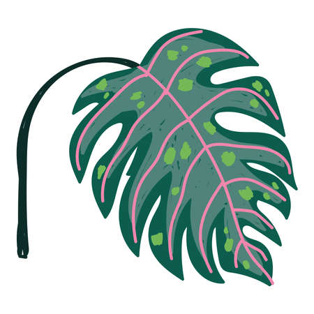 monstera leaf tropical exotic foliage cartoon isolated vector illustrationのイラスト素材