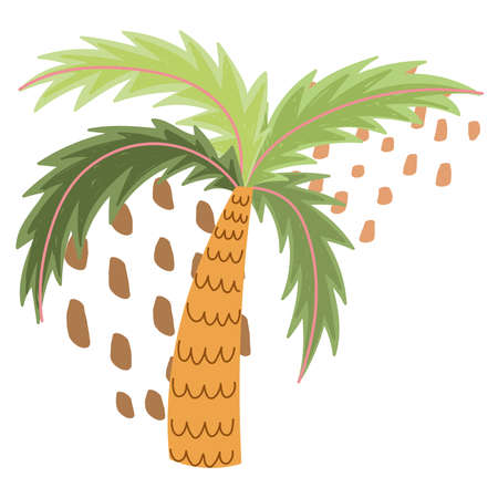 tropical palm tree foliage exotic abstract style vector illustrationのイラスト素材
