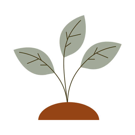 gardening growth plant vector illustration icon on white backgroundのイラスト素材