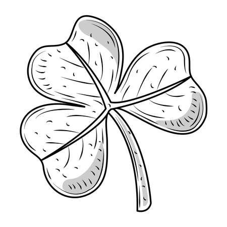 shamrock nature plant leaves icon sketch isolated isolated vector illustrationのイラスト素材