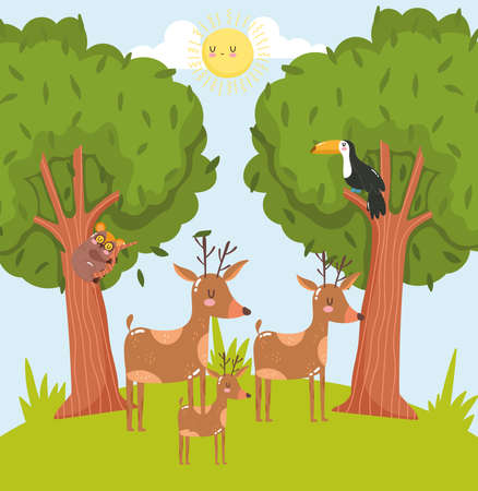 Animals deer toucan forest cartoonのイラスト素材