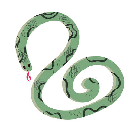 snake reptile cartoon hand drawn