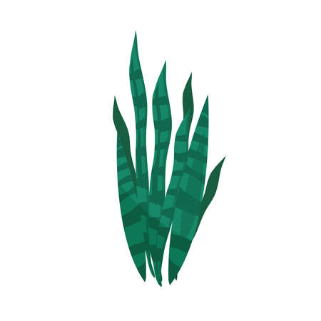 plant nature foliage icon isolatedのイラスト素材