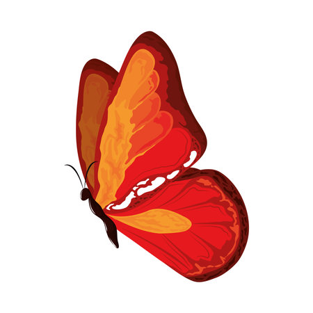 painted watercolor butterfly icon isolatedのイラスト素材