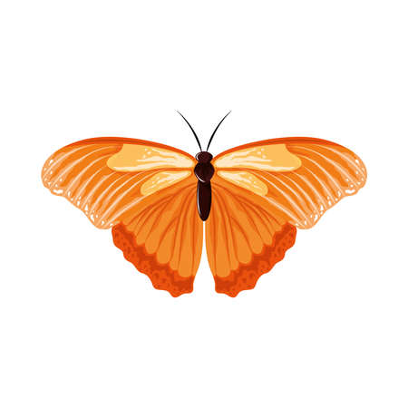 watercolor butterfly insect icon isolatedのイラスト素材