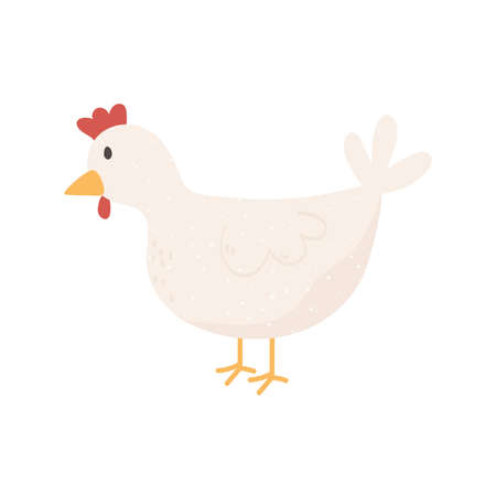 hen poultry animal cartoon isolatedのイラスト素材
