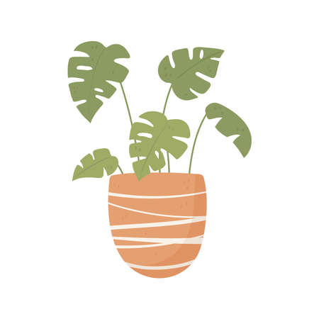 potted plant leaves nature isolatedのイラスト素材