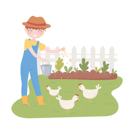 farmer feeding chickens in farmのイラスト素材