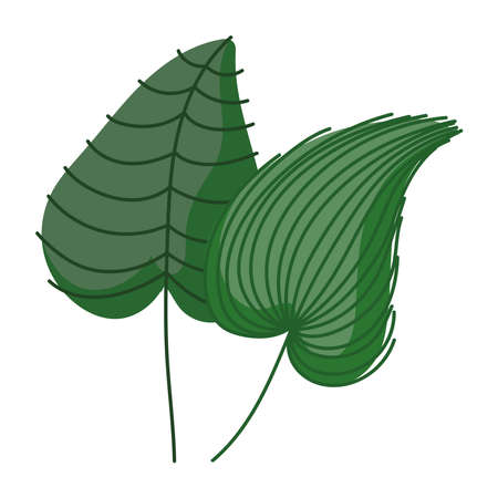 tropical leaves vegetation illustrationのイラスト素材