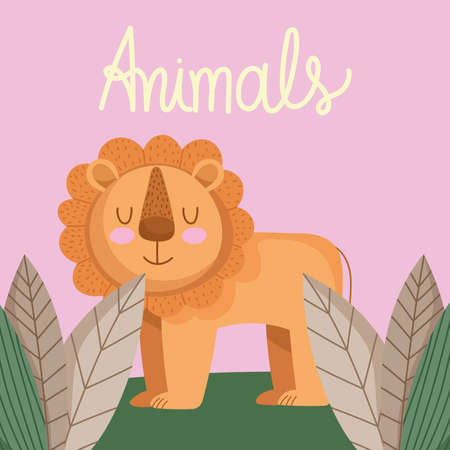 lion animal card illustrationのイラスト素材